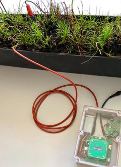 First Plant-powered Iot Sensor Sends Signal To Space