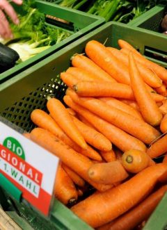 Start-up Frischepost Macht Den Hofladen Zum Online-Supermarkt