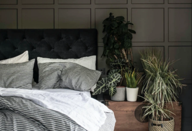 In Bed With Jessica Mason, Founder Of Piglet