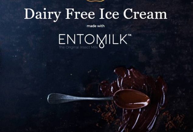 This Startup Makes Ice Cream From Insect Larvae