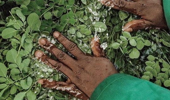 Meet The Woman Behind A $2 Million Superfood Business Helping Women Farmers In Africa